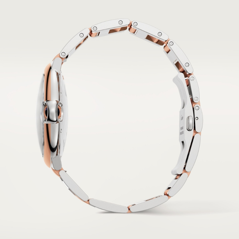 Resim BALLON BLEU DE CARTIER 