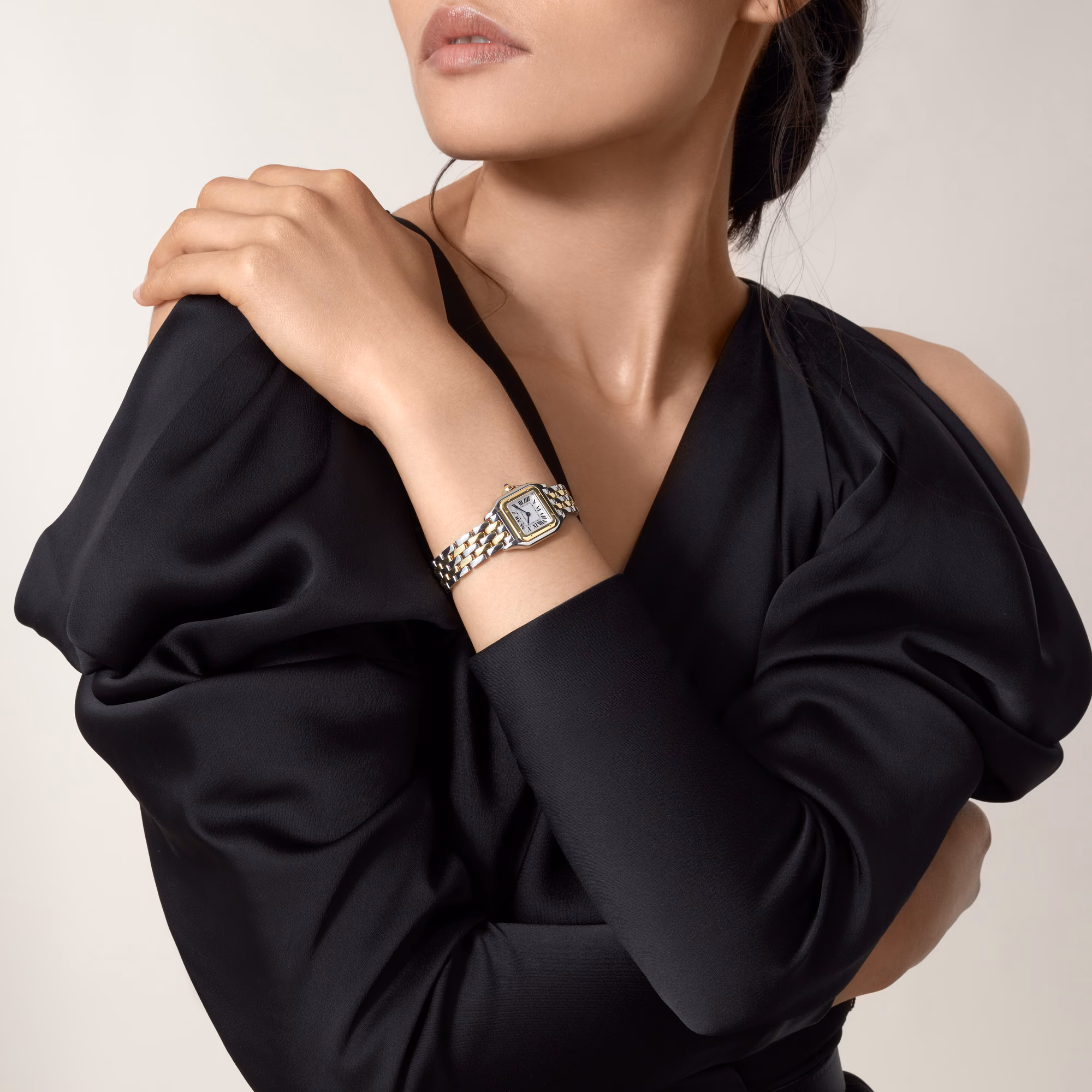 Resim PANTHÈRE DE CARTIER - GOLD AND STEEL QUARTZ SMALL