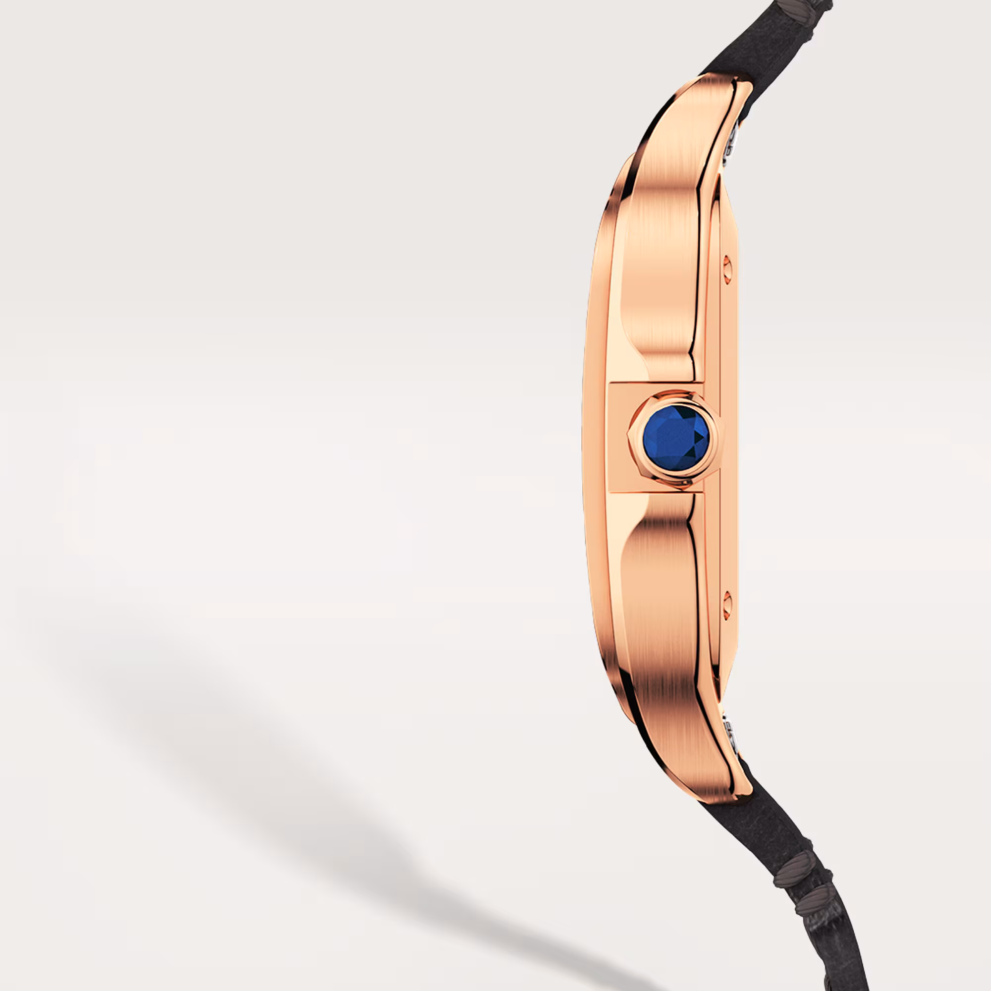 Resim SANTOS DE CARTIER - MEDIUM