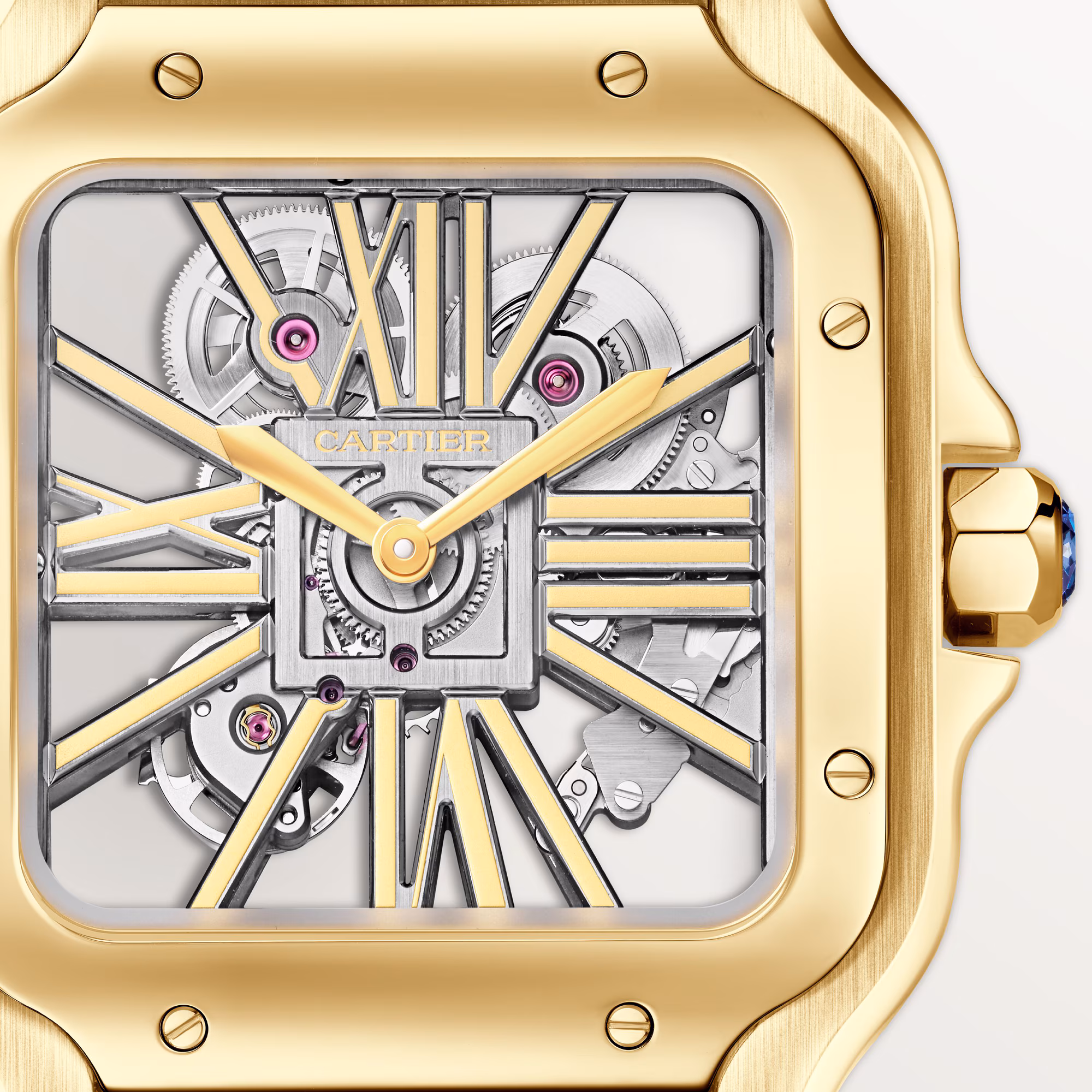 Resim Santos de Cartier Skeleton Watch - Large
